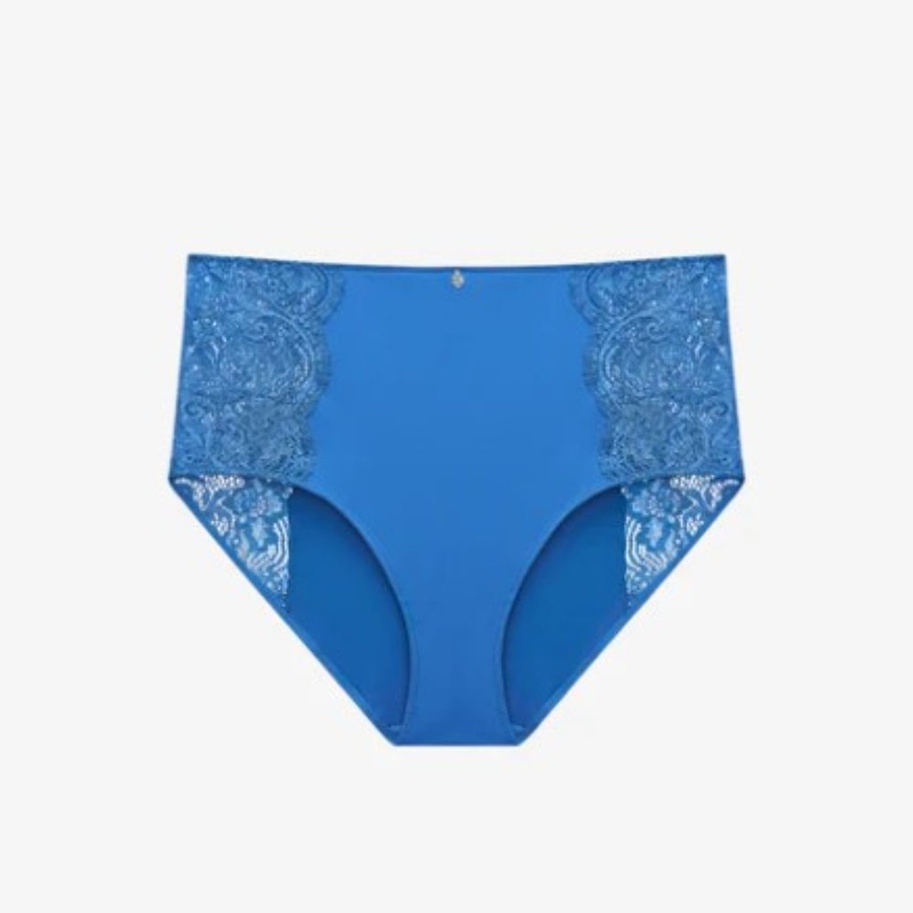 NWT ThirdLove Lace High Brief in Sapphire